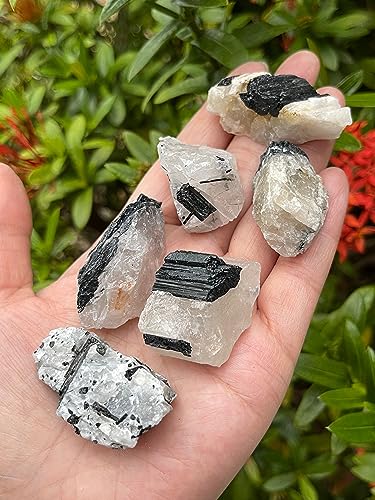 GAF TREASURES 3 Pcs Raw Black Tourmaline with Quartz Crystals Natural Black Tourmaline with Quartz Stone Rough Black Tourmaline Quartz Healing Crystals Black Tourmaline with Quartz - Image 2