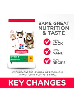 Hill's Science Plan Kitten Chicken Cat -3 Kg  - Image 2