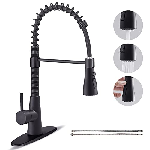 BESy Kitchen Faucet with Pull Down Sprayer, High-Arc Single Handle Single Lever Spring Rv Kitchen Sink Faucet with Pull Out Sprayer, 3 Function Laundry Faucet with Cover Plate, Matte Black - Image 1