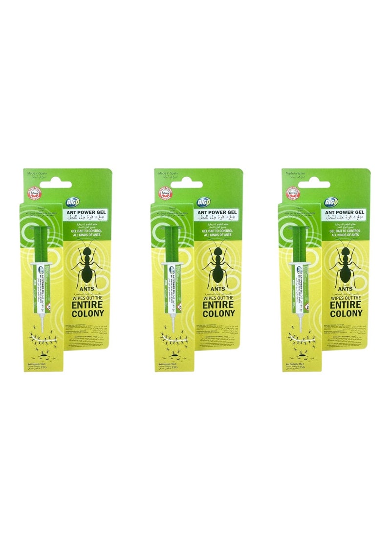 BIG D Big D Ant Power Gel Syringe 10g – Pack of 3 | Professional Ant Bait for Total Colony Elimination Indoors & Outdoors 