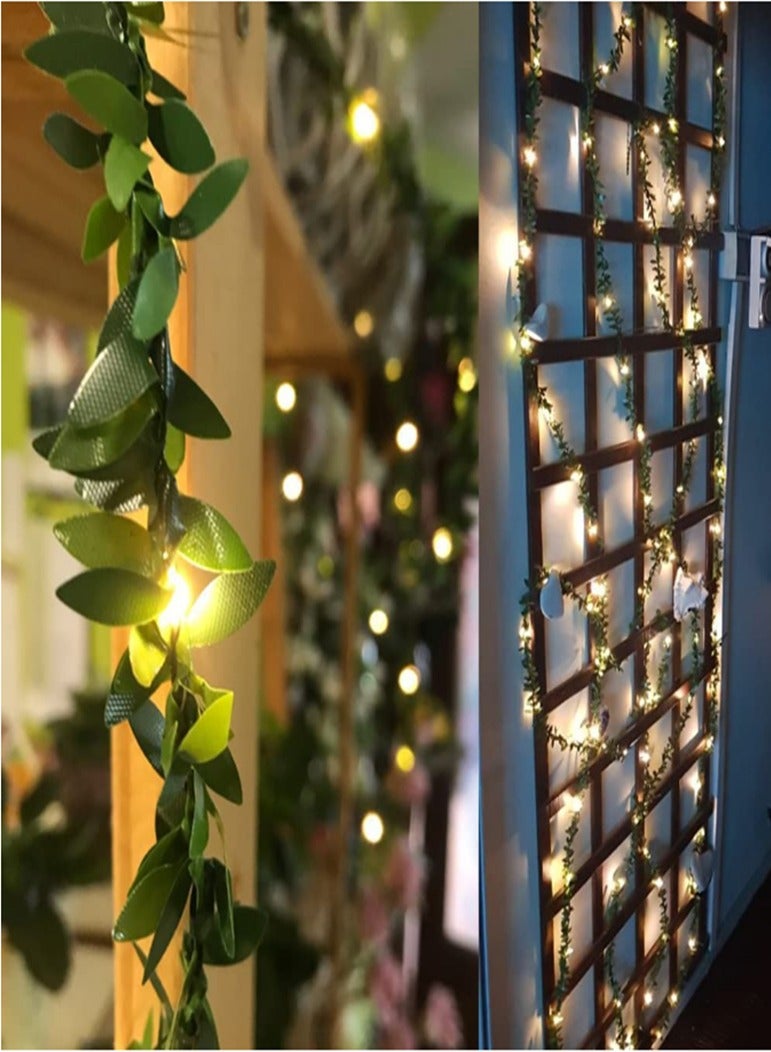 الأبحاث المتعلقة ب في الهواء الطلق ضوء سلسلة - Image 4