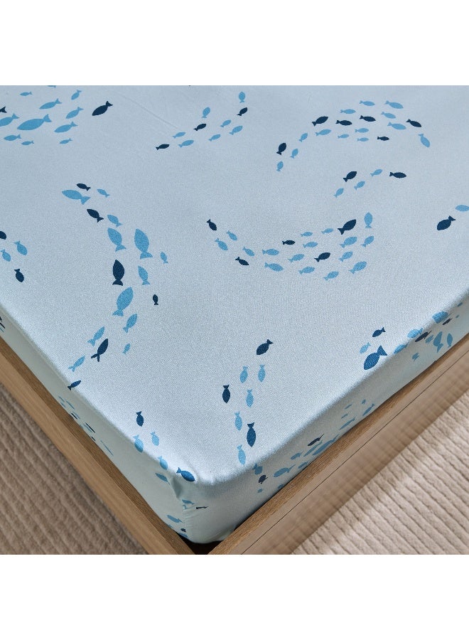 Home Box Joy Sea World Fishes Twin Microfibre Fitted Sheet 200 x 25 x 120 cm - Image 5