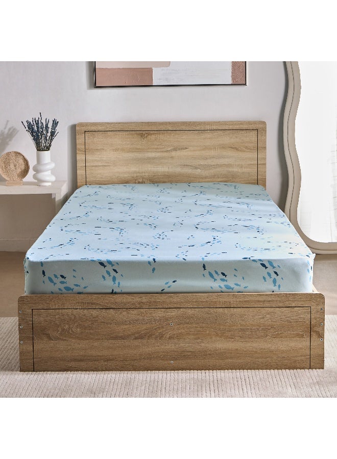 Home Box Joy Sea World Fishes Twin Microfibre Fitted Sheet 200 x 25 x 120 cm - Image 3