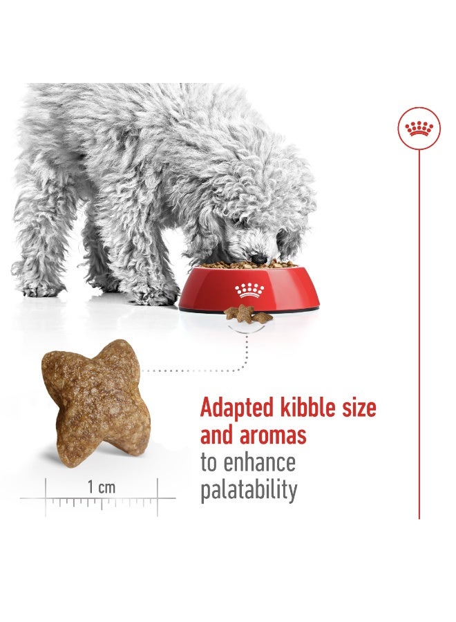 ROYAL CANIN Size Health Nutrition Mini Adult 2 KG - Image 3