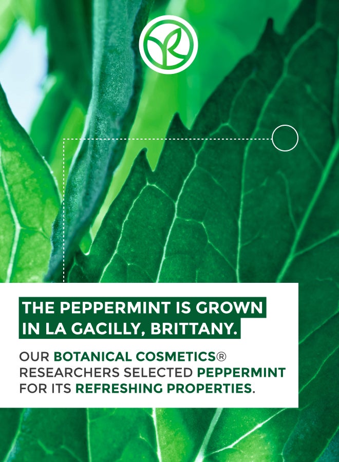 Yves Rocher THE CLEANSER & SCRUB ANTI-BLACKHEADS Tube 125ML - Image 3