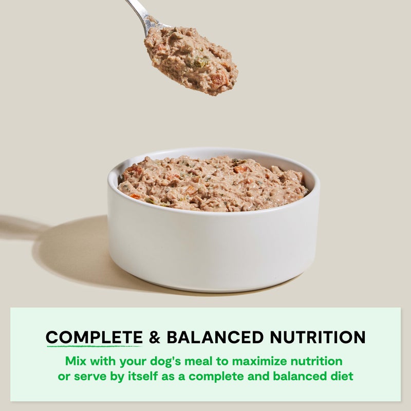 Open Farm Rustic Stews Wet Dog Food, Grain-Free, Complete & Balanced with Human-Grade Ingredients, Humanely-Raised Meat & Bone Broth, Grass-Fed Beef Recipe, 12.5oz Packs (Case of 12) - Image 2