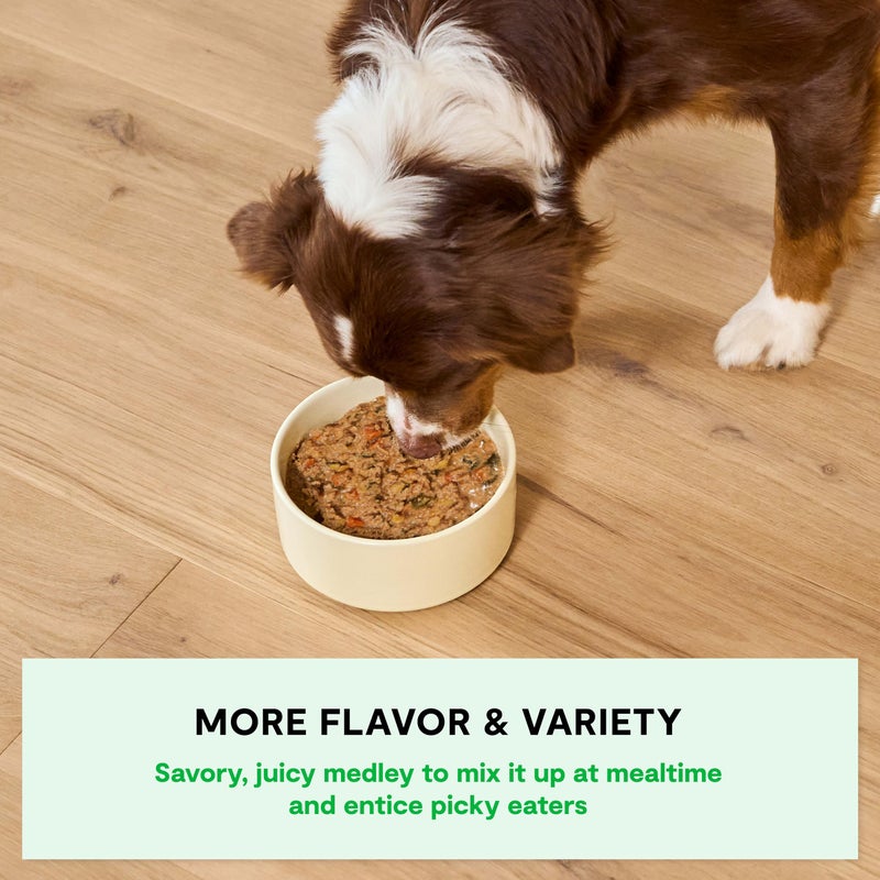 Open Farm Rustic Stews Wet Dog Food, Grain-Free, Complete & Balanced with Human-Grade Ingredients, Humanely-Raised Meat & Bone Broth, Grass-Fed Beef Recipe, 12.5oz Packs (Case of 12) - Image 3