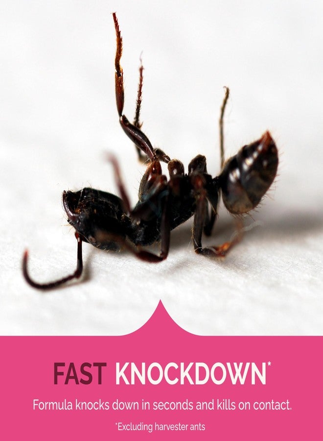 Hot Shot Ant, Roach And Spider Killer, 17.5 Ounces, Fresh Floral Formula Kills Ants, Roaches, Spiders And Other Listed Insects On Contact - Image 3