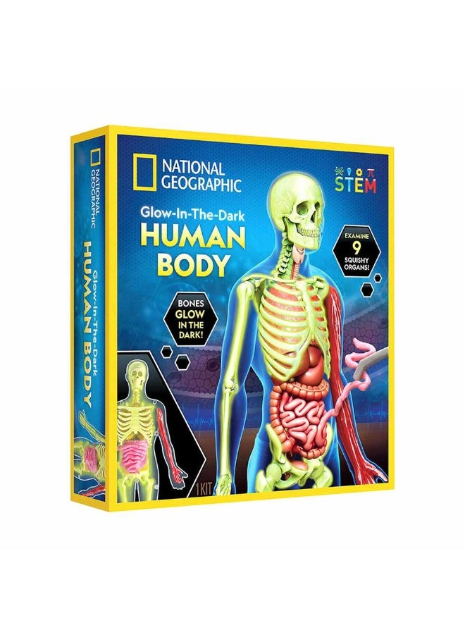 NATIONAL GEOGRAPHIC National Geographic Glow-in-the-Dark Human Body Science Kit  - Image 1