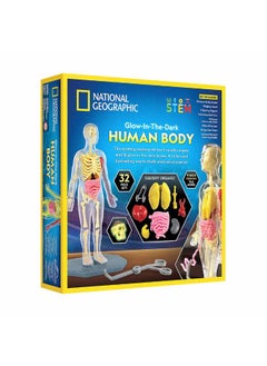 NATIONAL GEOGRAPHIC National Geographic Glow-in-the-Dark Human Body Science Kit  - Image 2
