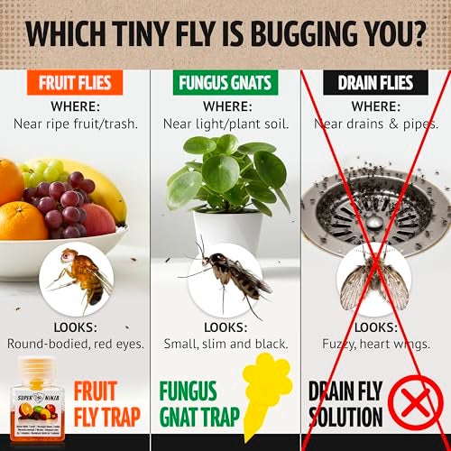 Super Ninja Fruit Fly Traps for Indoors - 2 Pack, Highly Effective Fruit Fly Catcher for Indoor Use for Home & Kitchen, Up to 3 Weeks of Performance per Bottle, Kid & Pet Friendly - Image 2