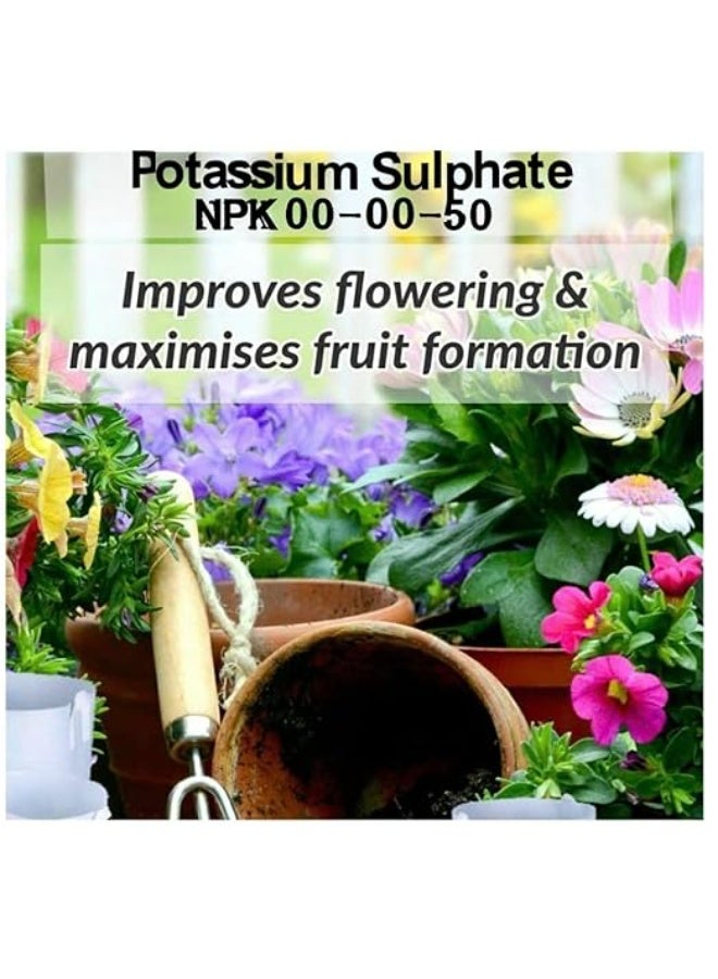 PREMIUM NPK 0-0-50-17 Potassium Sulphate Fully Water Soluble Fertilizer 500gram (Best choice for use in the GCC) - Image 2