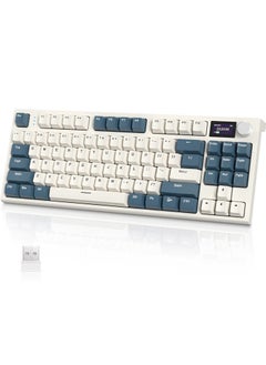 Time Machine Blue Whale Switch