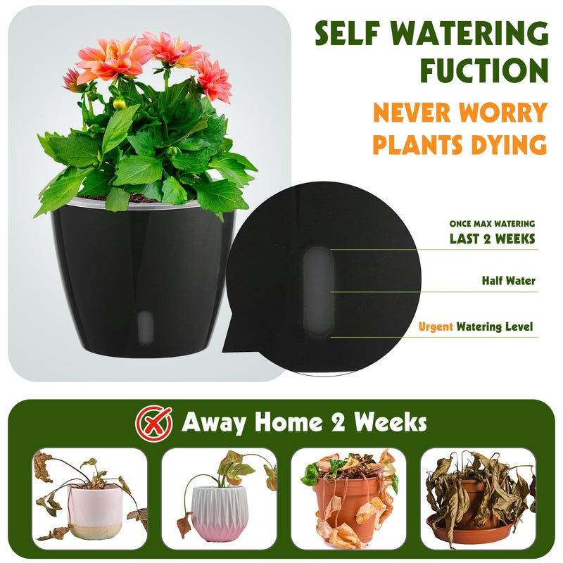 KvyusFlourish Self Watering Pots for Indoor Plants, 6-Pack 5'' Self Watering Planter with Drainage Holes, Small African Violet Pots with Water Indicator, Clear Wick Orchid Pot, Black - Image 2