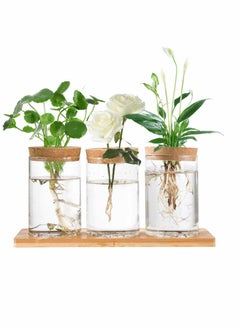 Desktop Plant Terrarium Propagation Station, Tabletop Glass Planter Water Planting Glass Vase with Lid & Wooden Stand or Growing Hydroponic Plants Home Office Table Decoration