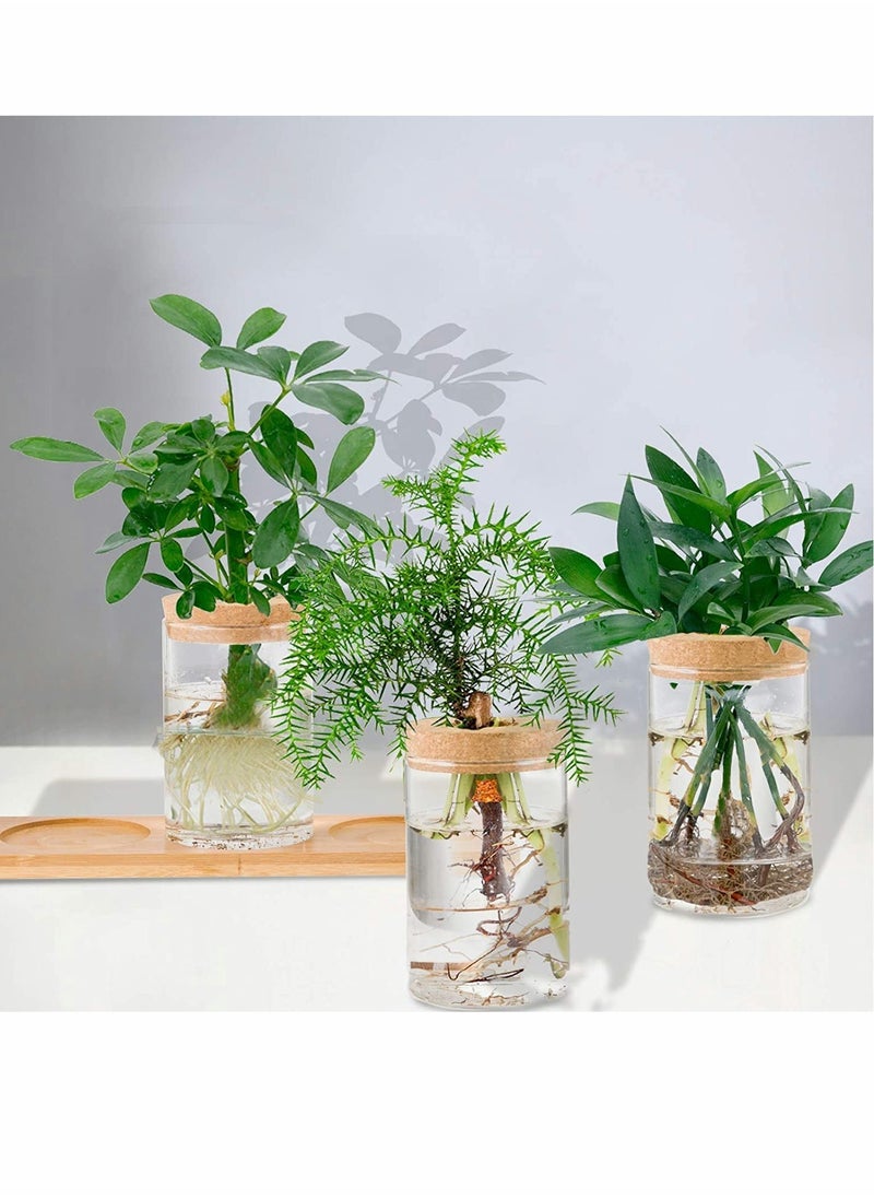 Excefore - Desktop Plant Terrarium Propagation Station, Tabletop Glass Planter Water Planting Glass Vase with Lid & Wooden Stand or Growing Hydroponic Plants Home Office Table Decoration - Image 1