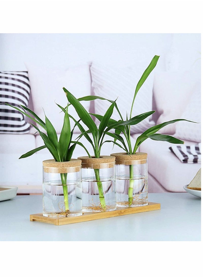 Excefore - Desktop Plant Terrarium Propagation Station, Tabletop Glass Planter Water Planting Glass Vase with Lid & Wooden Stand or Growing Hydroponic Plants Home Office Table Decoration - Image 1