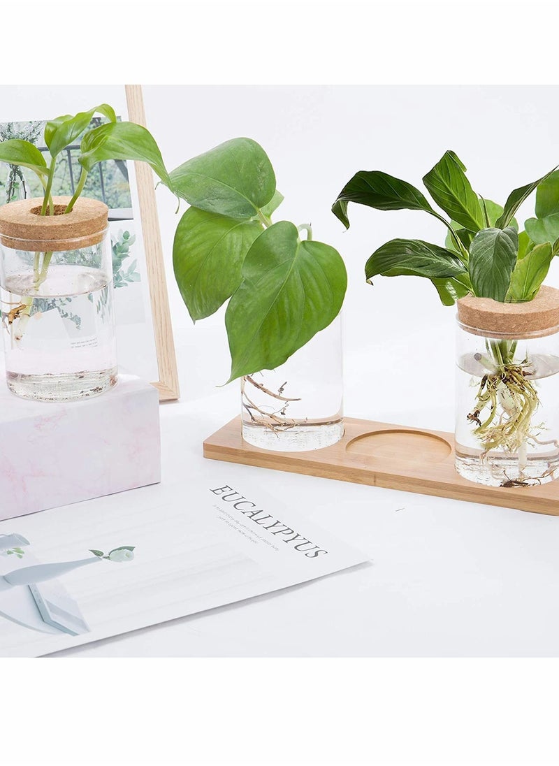Excefore - Desktop Plant Terrarium Propagation Station, Tabletop Glass Planter Water Planting Glass Vase with Lid & Wooden Stand or Growing Hydroponic Plants Home Office Table Decoration - Image 1