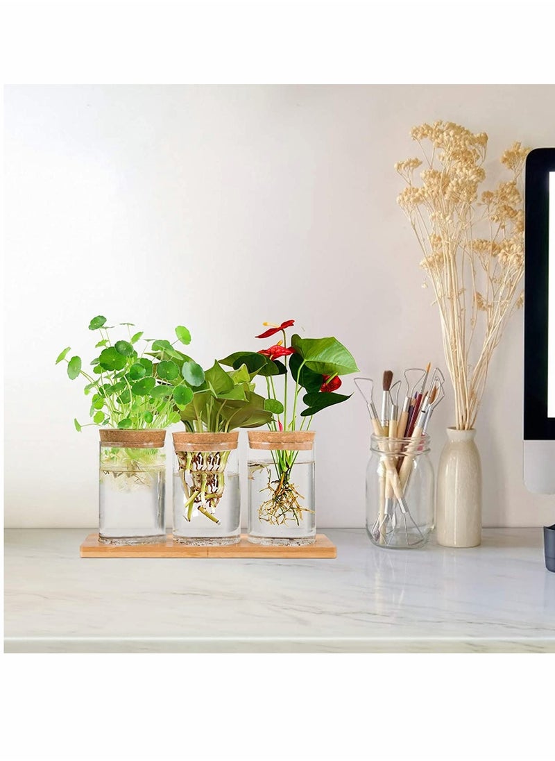Excefore - Desktop Plant Terrarium Propagation Station, Tabletop Glass Planter Water Planting Glass Vase with Lid & Wooden Stand or Growing Hydroponic Plants Home Office Table Decoration - Image 1