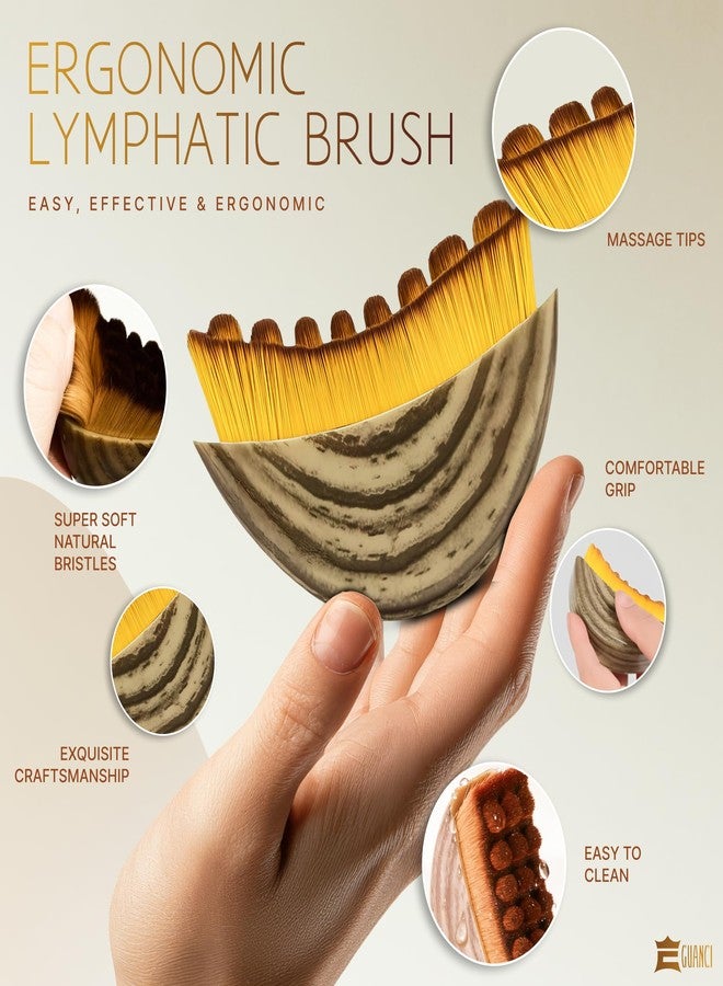 GUANCI Lymphatic Brush for Face Massage, Lymphatic Contour Face Brush for Facial Massage, Guasha Brush & Dry for Daily Skincare Routine, Face Brush for, Lymphatic for Home Use, Gentle Tool for Men & Women (Small) - Image 5