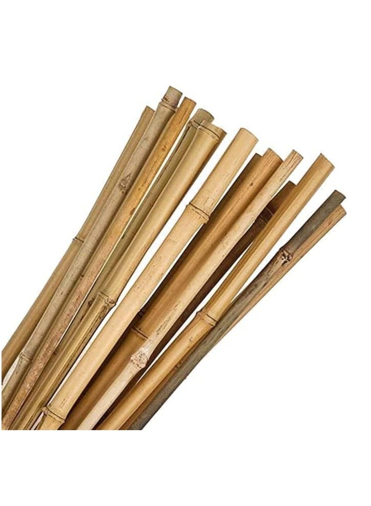HOME TASTE 100 Cm 10 Pcs Bamboo Garden Stakes Versatile Plant Support Poles for Indoors and Outdoor Strong and Durable Gardening Sticks for Climbing Plants and Trellises  - Image 1