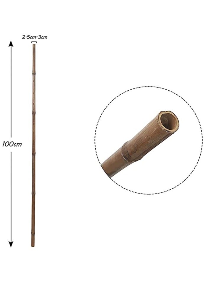 HOME TASTE 100 Cm 10 Pcs Bamboo Garden Stakes Versatile Plant Support Poles for Indoors and Outdoor Strong and Durable Gardening Sticks for Climbing Plants and Trellises  - Image 3