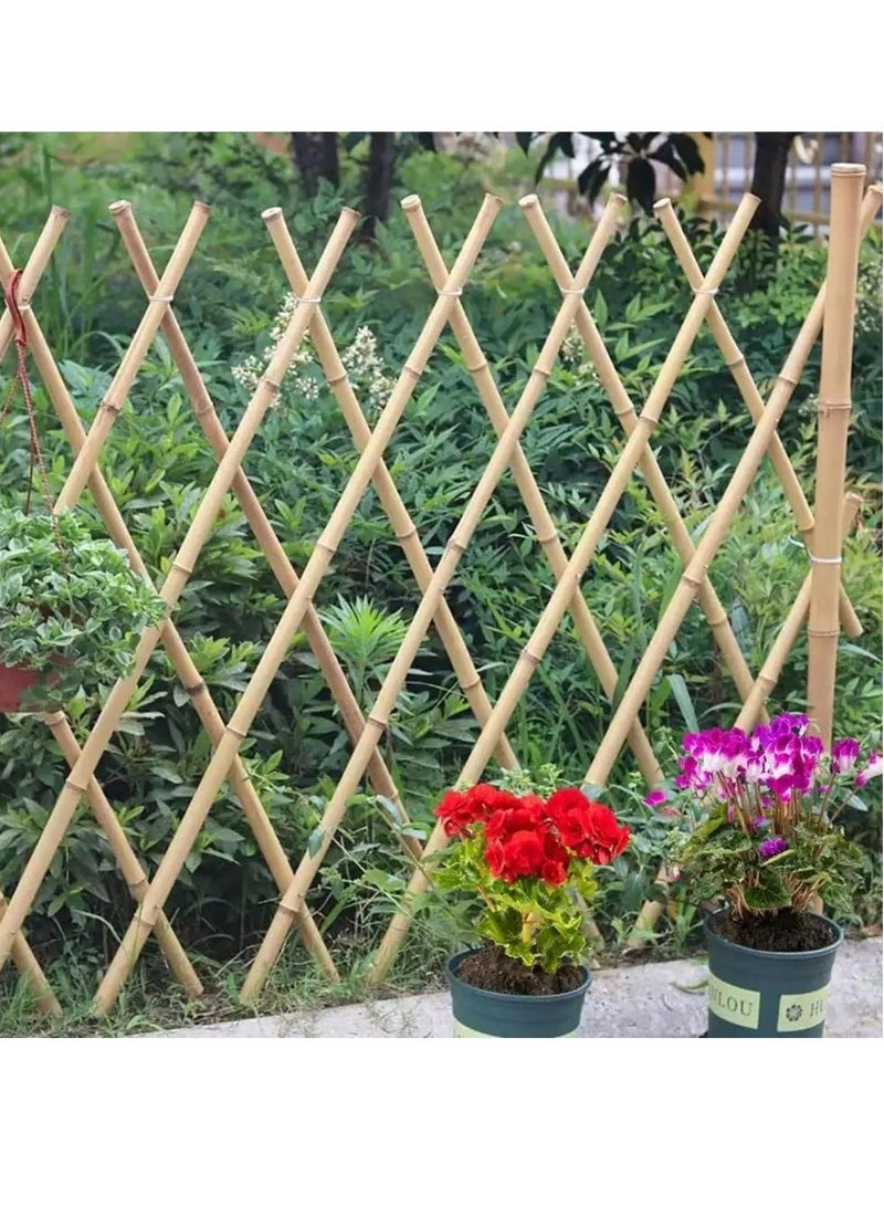 HOME TASTE 100 Cm 10 Pcs Bamboo Garden Stakes Versatile Plant Support Poles for Indoors and Outdoor Strong and Durable Gardening Sticks for Climbing Plants and Trellises  - Image 5