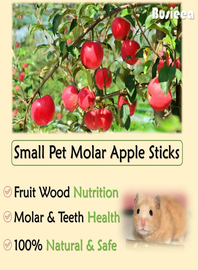 Busieea Premium Natural Apple Sticks - 250g/8.82 OZ Molar Chew Treats for Rabbits Chinchillas Guinea Pigs Hamsters Small Animals - Image 3