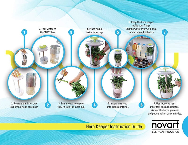 Novart XXL Herb Keeper و Herb Saver - حاوية تخزين زجاجية لـ Cilantro Mint Parsle - Image 5