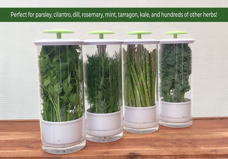 Novart XXL Herb Keeper و Herb Saver - حاوية تخزين زجاجية لـ Cilantro Mint Parsle - Image 4
