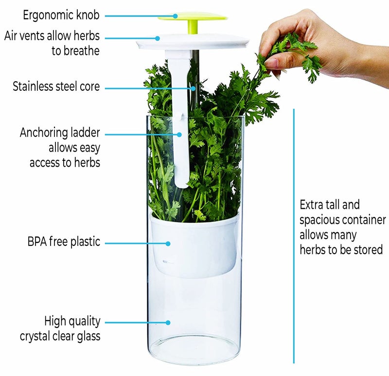 Novart XXL Herb Keeper و Herb Saver - حاوية تخزين زجاجية لـ Cilantro Mint Parsle - Image 3