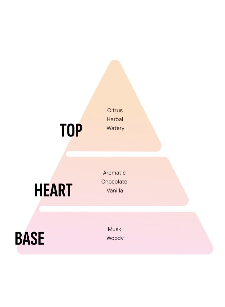 Areon Home Perfumes Sticks New Design Sunny Home 50ml - Image 3