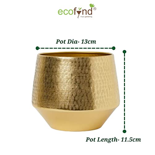 ecofynd 5 inches, Eion Jr Metal Plant Pot, Decorative Modern Indoor Planter Flower Pots, Home Garden Decor Planter for Living Room Bedroom Interior, Pack of 1 (Gold, POT022) - Image 3