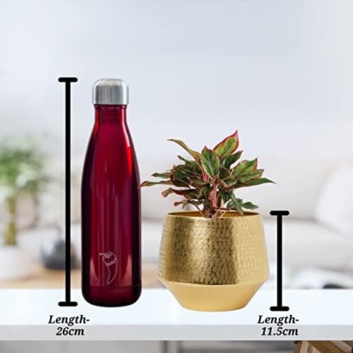 ecofynd 5 inches, Eion Jr Metal Plant Pot, Decorative Modern Indoor Planter Flower Pots, Home Garden Decor Planter for Living Room Bedroom Interior, Pack of 1 (Gold, POT022) - Image 2