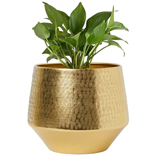 ecofynd 5 inches, Eion Jr Metal Plant Pot, Decorative Modern Indoor Planter Flower Pots, Home Garden Decor Planter for Living Room Bedroom Interior, Pack of 1 (Gold, POT022) - Image 1