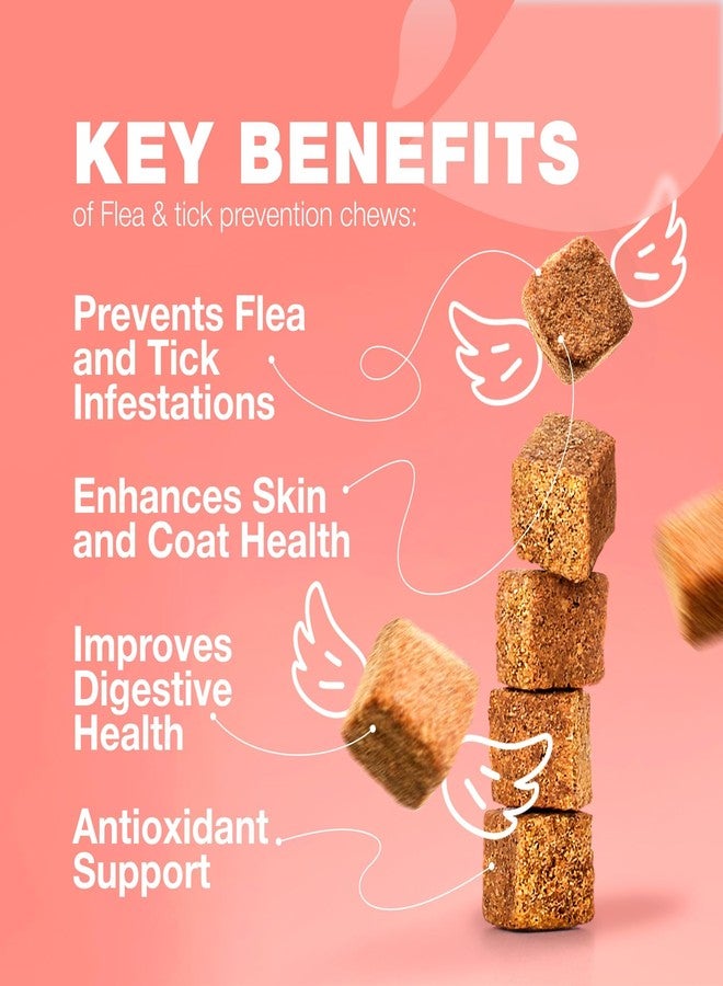 CHEWIA Flea Treatment for Cats - Daily Oral Cat Flea and Tick Treatment Chews - Chewable Kitten Flea Treatment - Soft Treats for All Breeds & Ages - Natural Chicken-Flavor Flea and Tick Supplement for Cats - Image 2