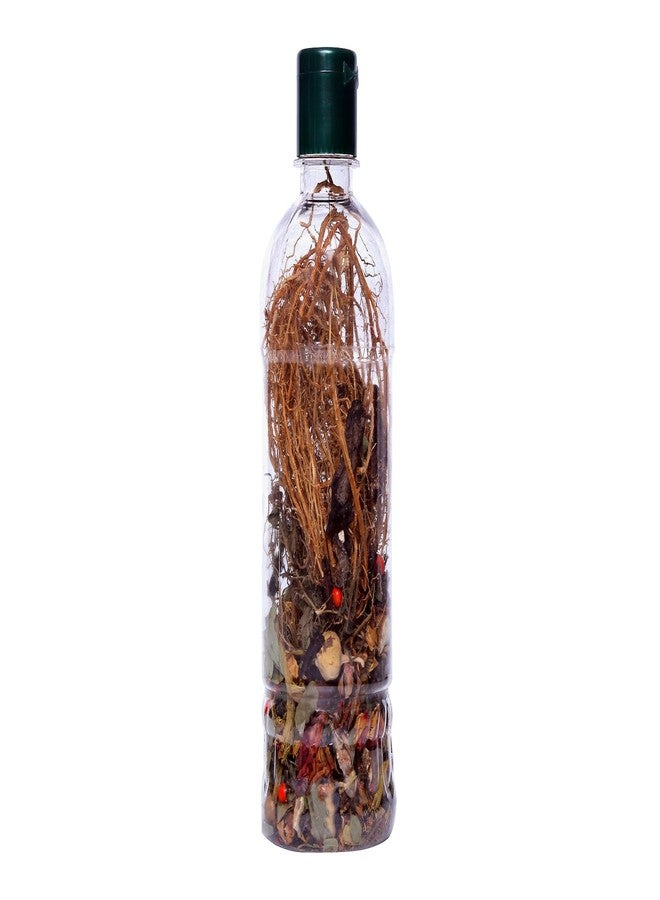 Renew Roots Hair & Care Jadibuti Natural Hair Oil Maker with Dried Herbs, 100 ml (100 ml, 4) - Image 1