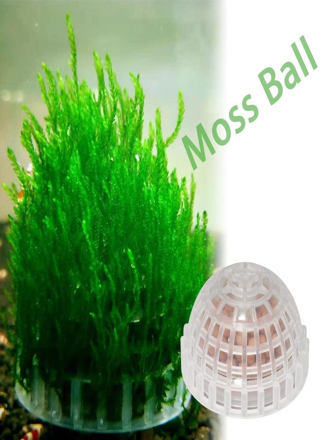 DGHAOP 2pcs Plastic Aquarium Shrimp Fish Tank Media Moss Ball Holder Fish Tank Accessories Home Decoration 5x3cm, Transparent - Image 4