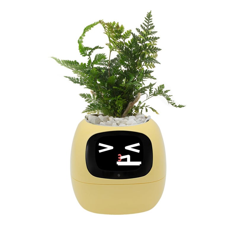Itigoitie Smart Pet Planter Smart Plant Pot With Artificial Intelligence Time Weather Display And Multiple Expressions AnimationLovely Plant Companion For Desktop Decoration GiftsPlantFree Yellow - Image 2