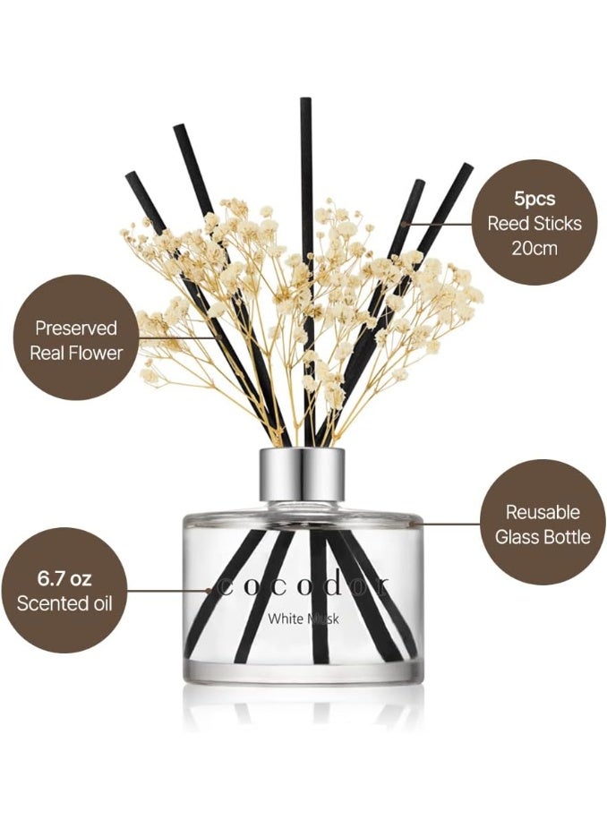 كوكودور معطّر كوكودور بعصا القصب مع زهرة طبيعية محفوظة / إنجليش بيرفري (English Pearfree) / 6.7 أونصة (200 مل) / عبوة واحدة / مجموعة معطّر بالقوارير والزيوت مع أعواد القصب، مناسب لديكور المنزل والمكتب، عطر وهدايا - Image 4