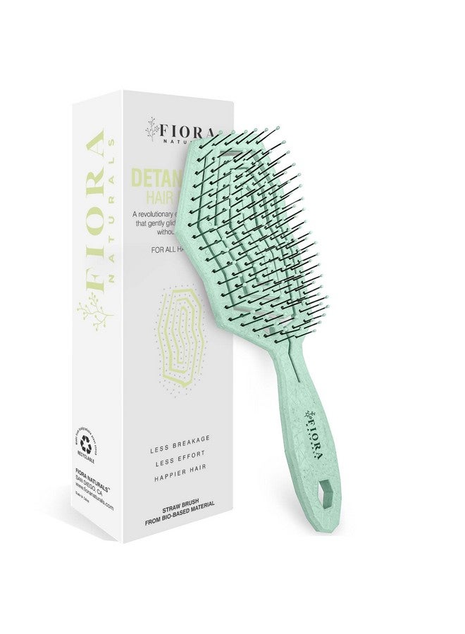 فيورا ناتشيورالز فرشاة فك تشابك الشعر من فيورا ناتشورالز - فرشاة فك تشابك الشعر صديقة للبيئة بنسبة 100% بشعيرات فائقة النعومة - تنزلق بسهولة خلال التشابك - للشعر المجعد والناعم، للنساء والرجال والأطفال الصغار، والشعر المبلل والجاف. - Image 1