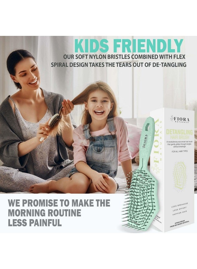 فيورا ناتشيورالز فرشاة فك تشابك الشعر من فيورا ناتشورالز - فرشاة فك تشابك الشعر صديقة للبيئة بنسبة 100% بشعيرات فائقة النعومة - تنزلق بسهولة خلال التشابك - للشعر المجعد والناعم، للنساء والرجال والأطفال الصغار، والشعر المبلل والجاف. - Image 5