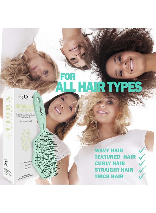 فيورا ناتشيورالز فرشاة فك تشابك الشعر من فيورا ناتشورالز - فرشاة فك تشابك الشعر صديقة للبيئة بنسبة 100% بشعيرات فائقة النعومة - تنزلق بسهولة خلال التشابك - للشعر المجعد والناعم، للنساء والرجال والأطفال الصغار، والشعر المبلل والجاف. - Image 4
