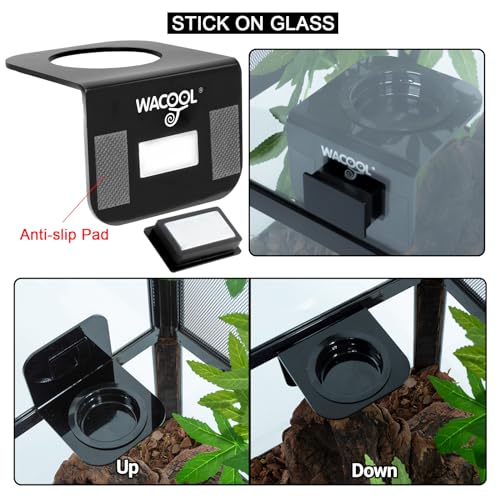 WACOOL Magnetic Reptile Ledge 2PACK, Acrylic Gecko Feeding Ledges with 6PCS Cups, Reptile Food Water Feeder Dish for Geckos Iguana Chameleon Pets - Image 3