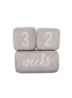 pearhead Baby Plush Photo Sharing Milestone Age Blocks Picture Prop Set Of 3 Blocks Gray  - Image 1
