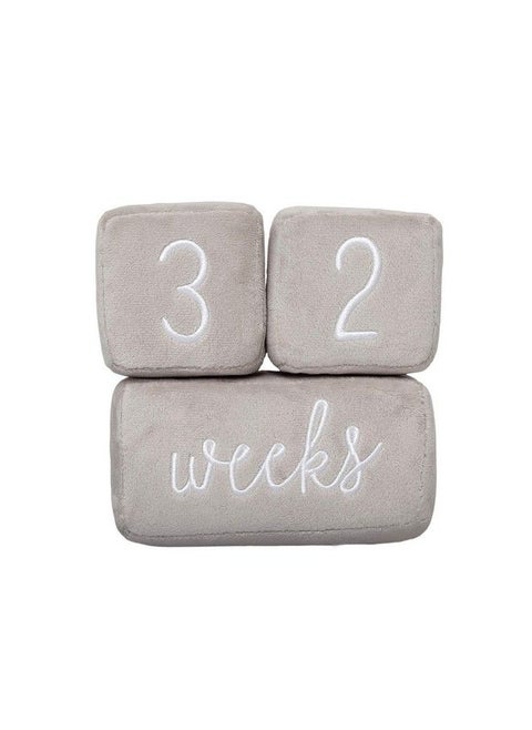 Baby Plush Photo Sharing Milestone Age Blocks Picture Prop Set Of 3 Blocks Gray