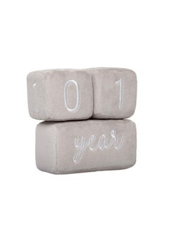pearhead Baby Plush Photo Sharing Milestone Age Blocks Picture Prop Set Of 3 Blocks Gray  - Image 3
