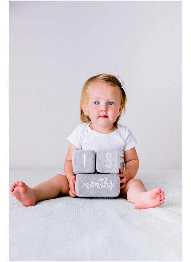Baby Plush Photo Sharing Milestone Age Blocks Picture Prop Set Of 3 Blocks Gray