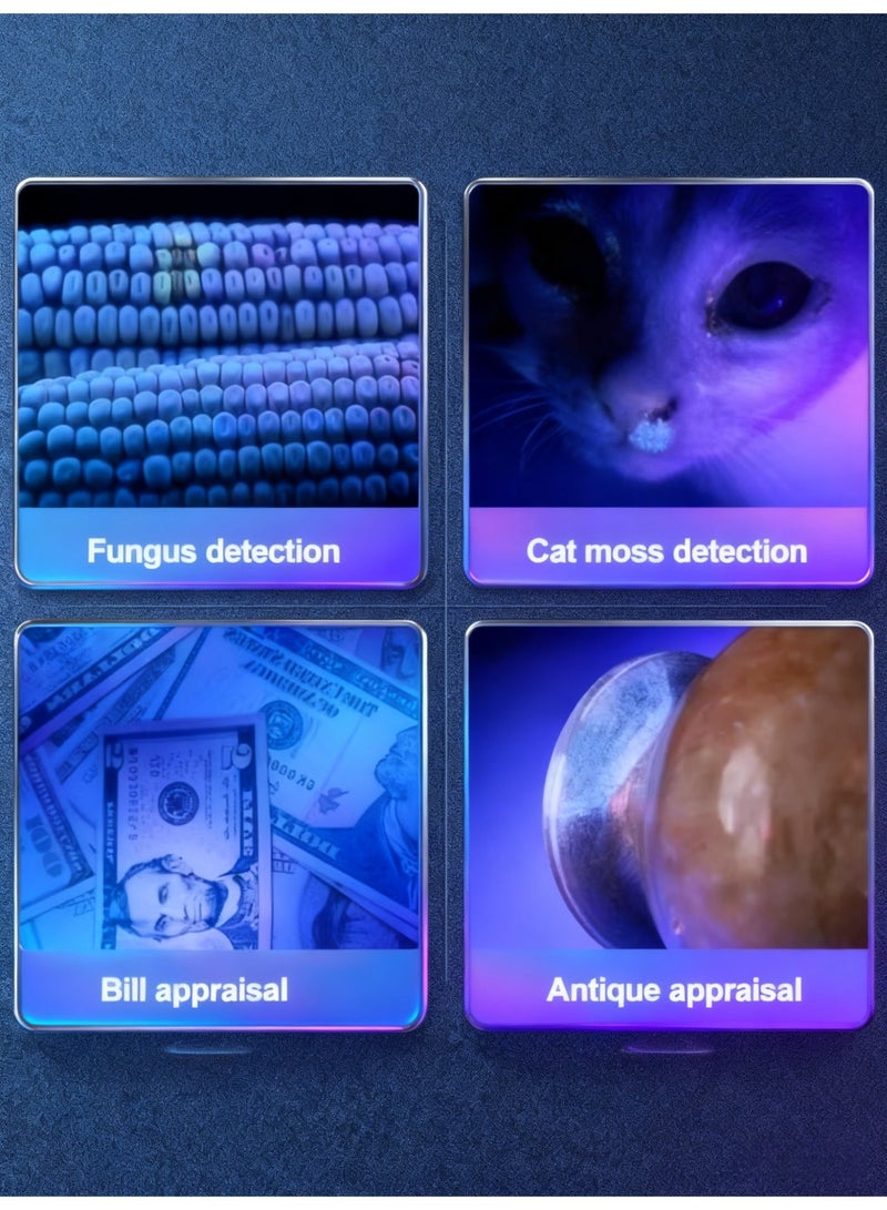 Crownity Rechargeable 365nm UV Flashlight, Black Light for Pet Urine Detection, Scorpion Hunting, Mold & Fungus, Cat Ringworm - Portable UV LED Torch Light for Home & Outdoor Use - Image 5