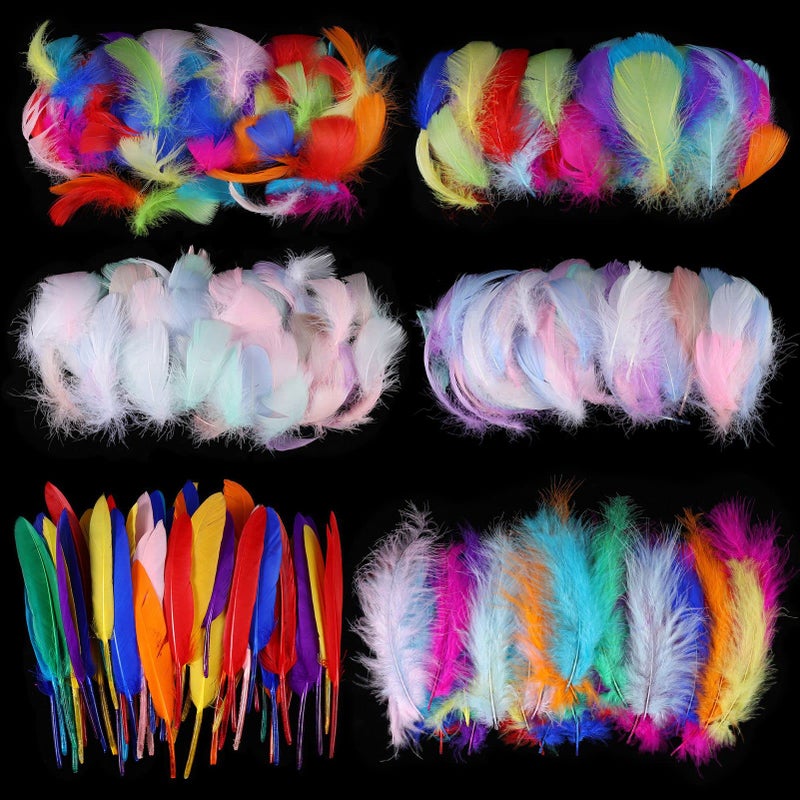 XINRUI 500pcs Feather for Crafts Colorful Feathers Natural Goose Feathers for Diy Dream Catcher Carnival Decorationshatvasemask Fluffy  Soft 6 Styles